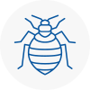 Bed Bug Extermination In Newbury