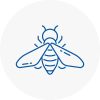 Bee Nest Removal Newbury