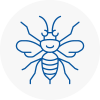 Newbury Hornet Nest Removals