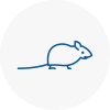 Mice Exterminators In Newbury