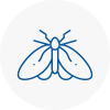 Moth Control Specialists In Newbury