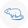 Rat Control Newbury