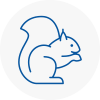 Newbury Rodent Removals