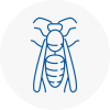Newbury Wasp Nest Removal